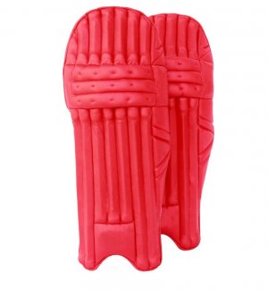 Cricket Pads