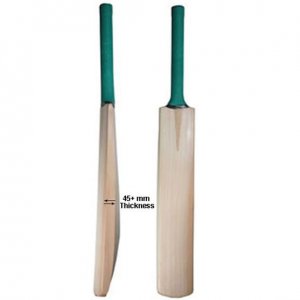 Cricket Bats