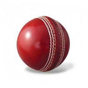 Cricket Balls